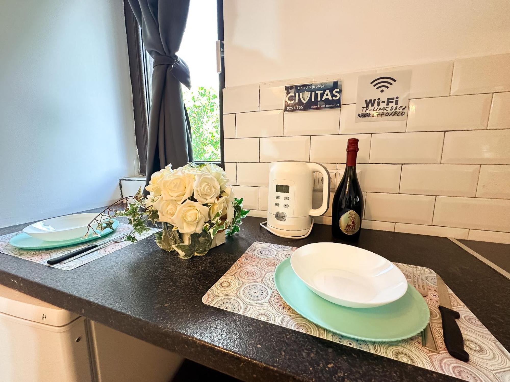 The Vintage - Wonderful Apartment In Best Location Craiova Eksteriør bilde